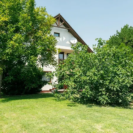 Holiday home Picea By Interhome Balatonfenyves